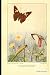 Algopix Similar Product 13 - Butterfly Print Journal Vintage