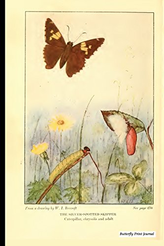 Algopix Similar Product 19 - Butterfly Print Journal Vintage
