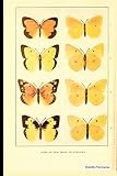 Algopix Similar Product 4 - Butterfly Print Journal Vintage