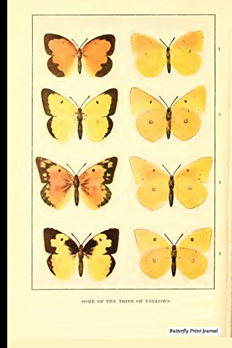 Algopix Similar Product 4 - Butterfly Print Journal Vintage