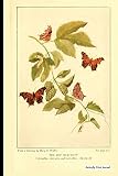 Algopix Similar Product 7 - Butterfly Print Journal Vintage