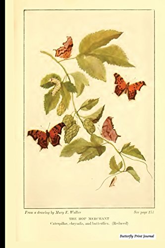 Algopix Similar Product 18 - Butterfly Print Journal Vintage