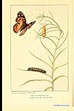 Algopix Similar Product 10 - Butterfly Print Journal Vintage