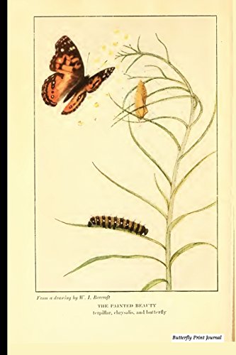 Algopix Similar Product 12 - Butterfly Print Journal Vintage
