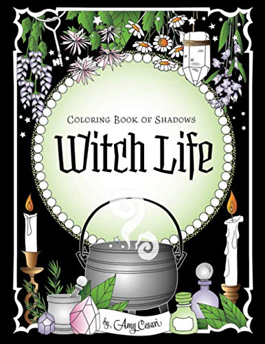 Algopix Similar Product 20 - Coloring Book of Shadows Witch Life