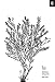 Algopix Similar Product 1 - An Elegant Puzzle Systems of