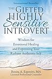 Algopix Similar Product 3 - The Gifted Highly Sensitive Introvert
