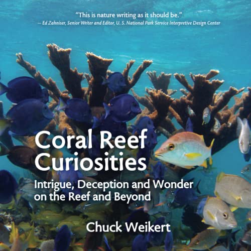 Algopix Similar Product 1 - Coral Reef Curiosities Intrigue
