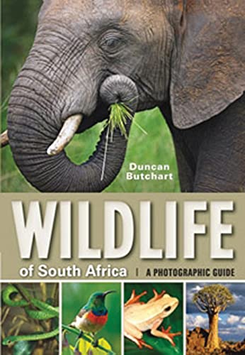 Algopix Similar Product 7 - Wildlife of South Africa A