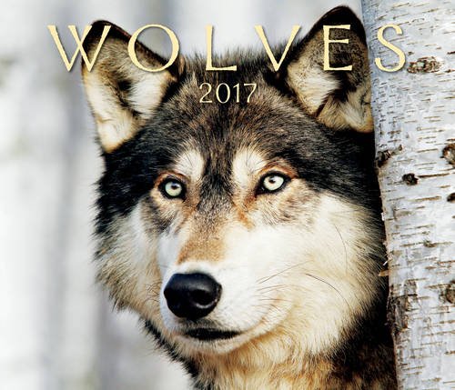 Algopix Similar Product 12 - Wolves 2017