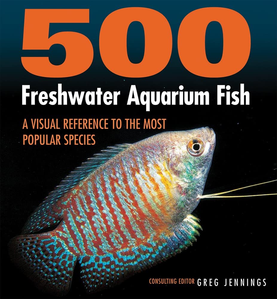 Algopix Similar Product 15 - 500 Freshwater Aquarium Fish A Visual