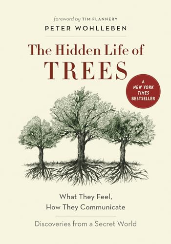 Algopix Similar Product 17 - The Hidden Life of Trees What They