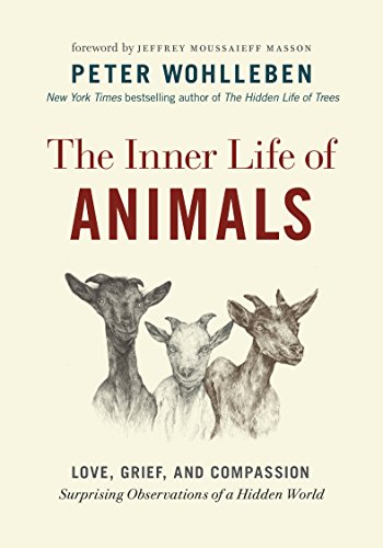 Algopix Similar Product 13 - The Inner Life of Animals Love Grief