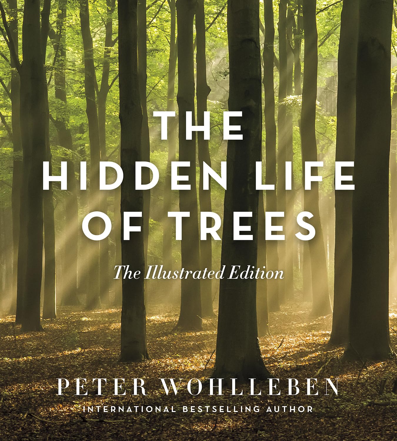 Algopix Similar Product 15 - The Hidden Life of Trees The