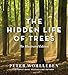 Algopix Similar Product 5 - The Hidden Life of Trees The
