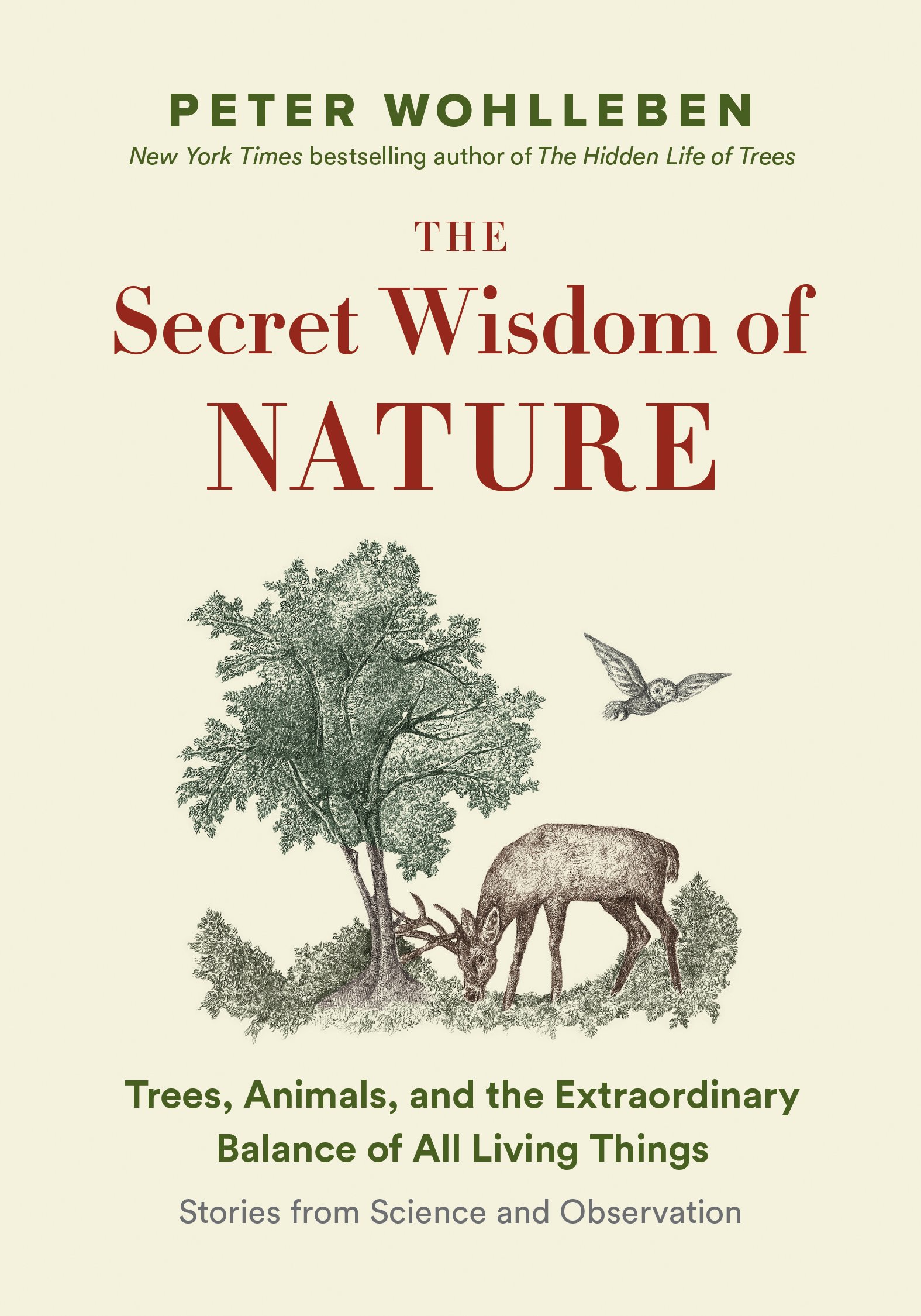 Algopix Similar Product 19 - The Secret Wisdom of Nature Trees