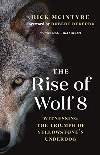 Algopix Similar Product 3 - The Rise of Wolf 8 Witnessing the