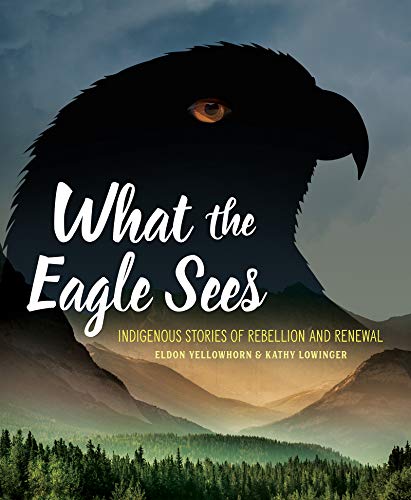 Algopix Similar Product 11 - What the Eagle Sees Indigenous Stories