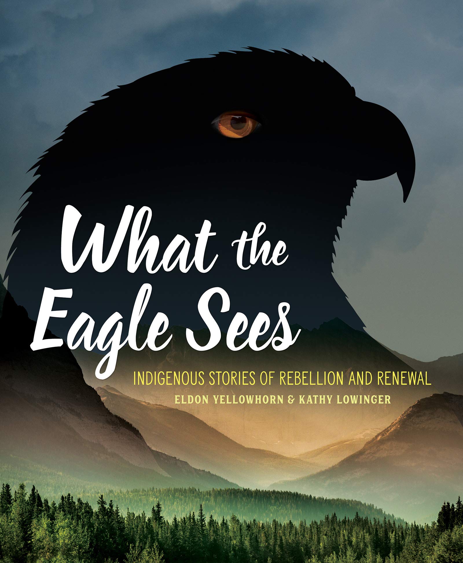 Algopix Similar Product 2 - What the Eagle Sees Indigenous Stories