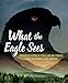 Algopix Similar Product 14 - What the Eagle Sees Indigenous Stories