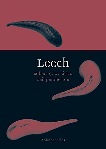Algopix Similar Product 1 - Leech (Animal)