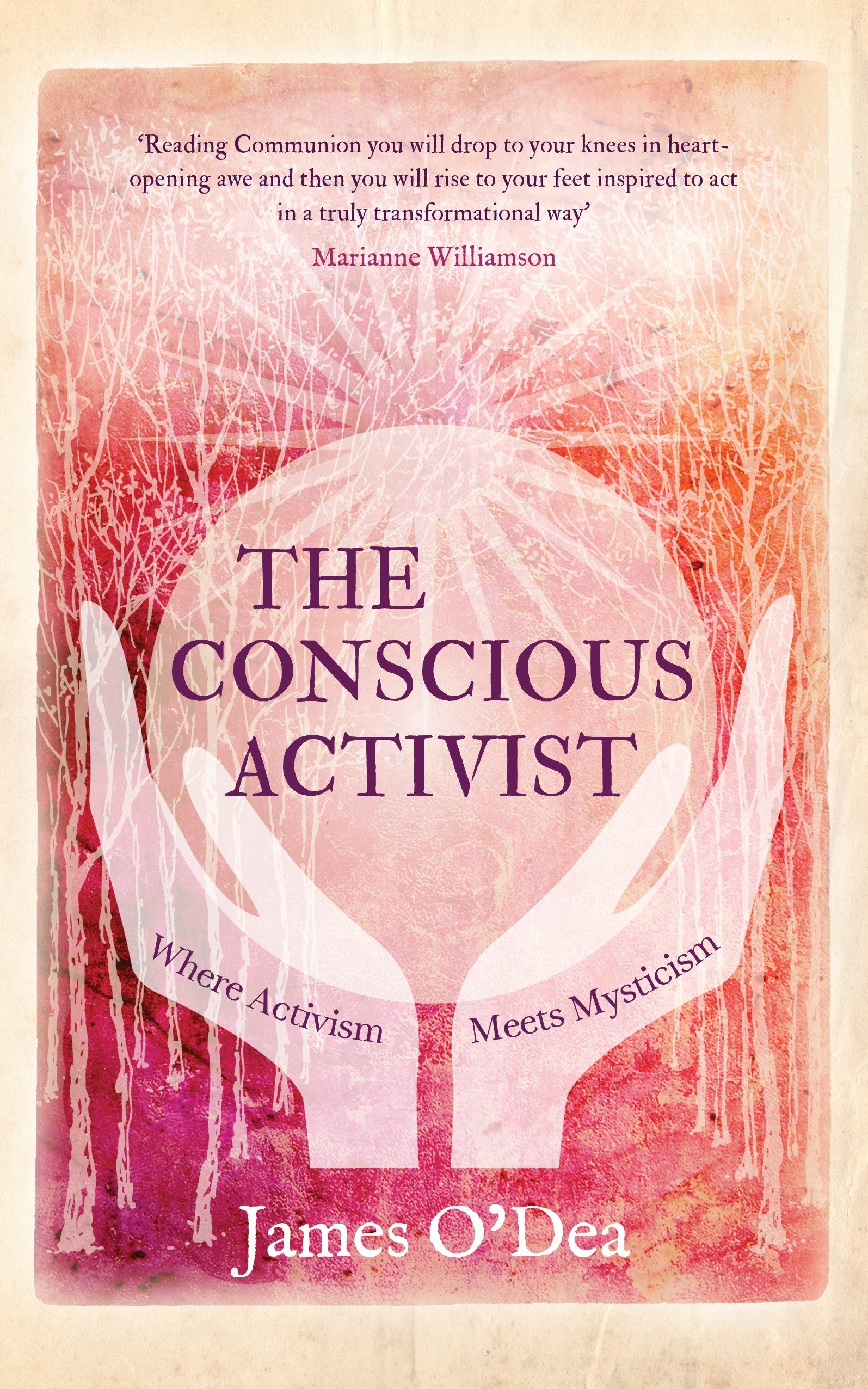 Algopix Similar Product 12 - The Conscious Activist Where Activism