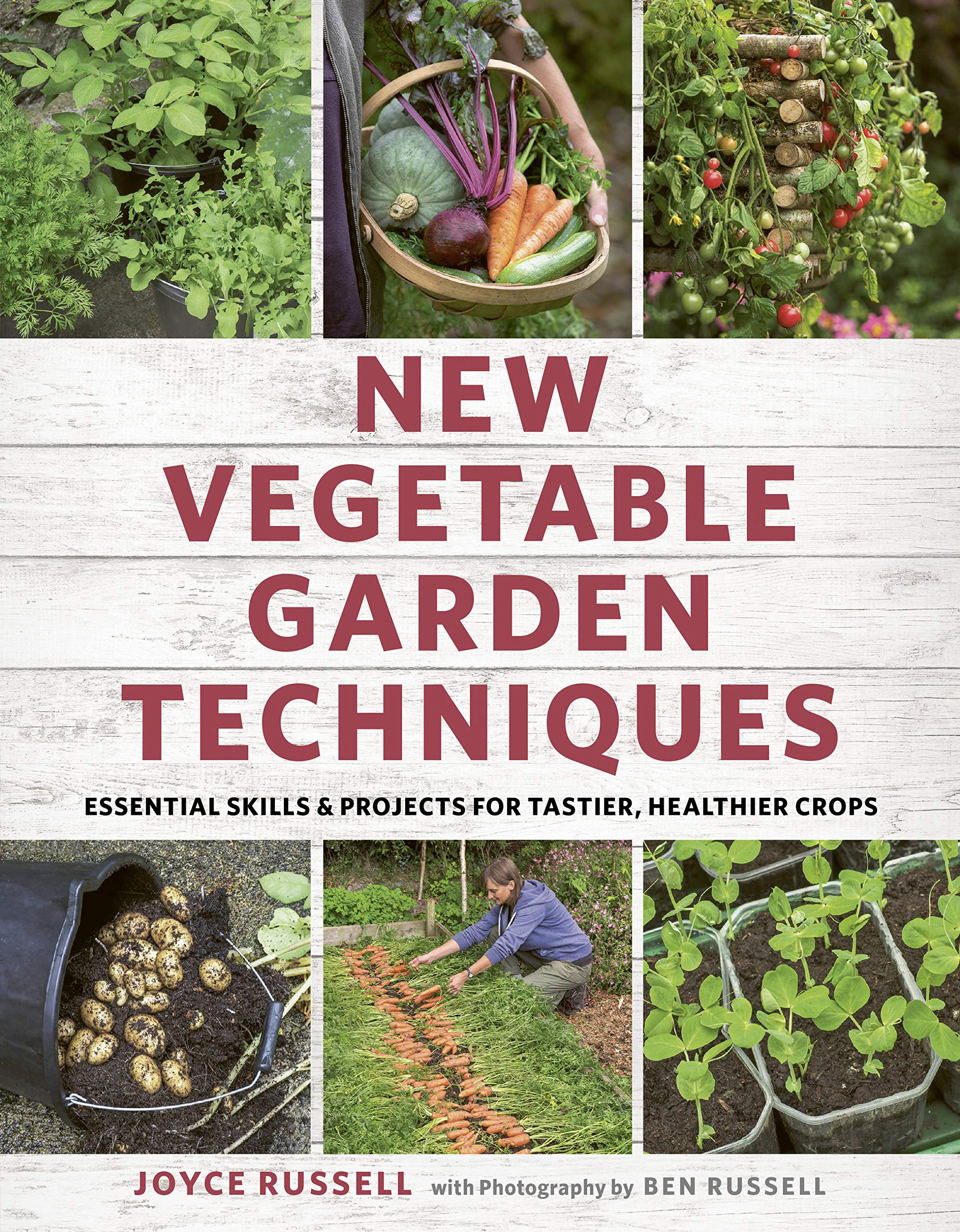 Algopix Similar Product 14 - New Vegetable Garden Techniques