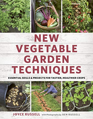 Algopix Similar Product 6 - New Vegetable Garden Techniques
