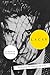 Algopix Similar Product 15 - Lacan: In Spite Of Everything