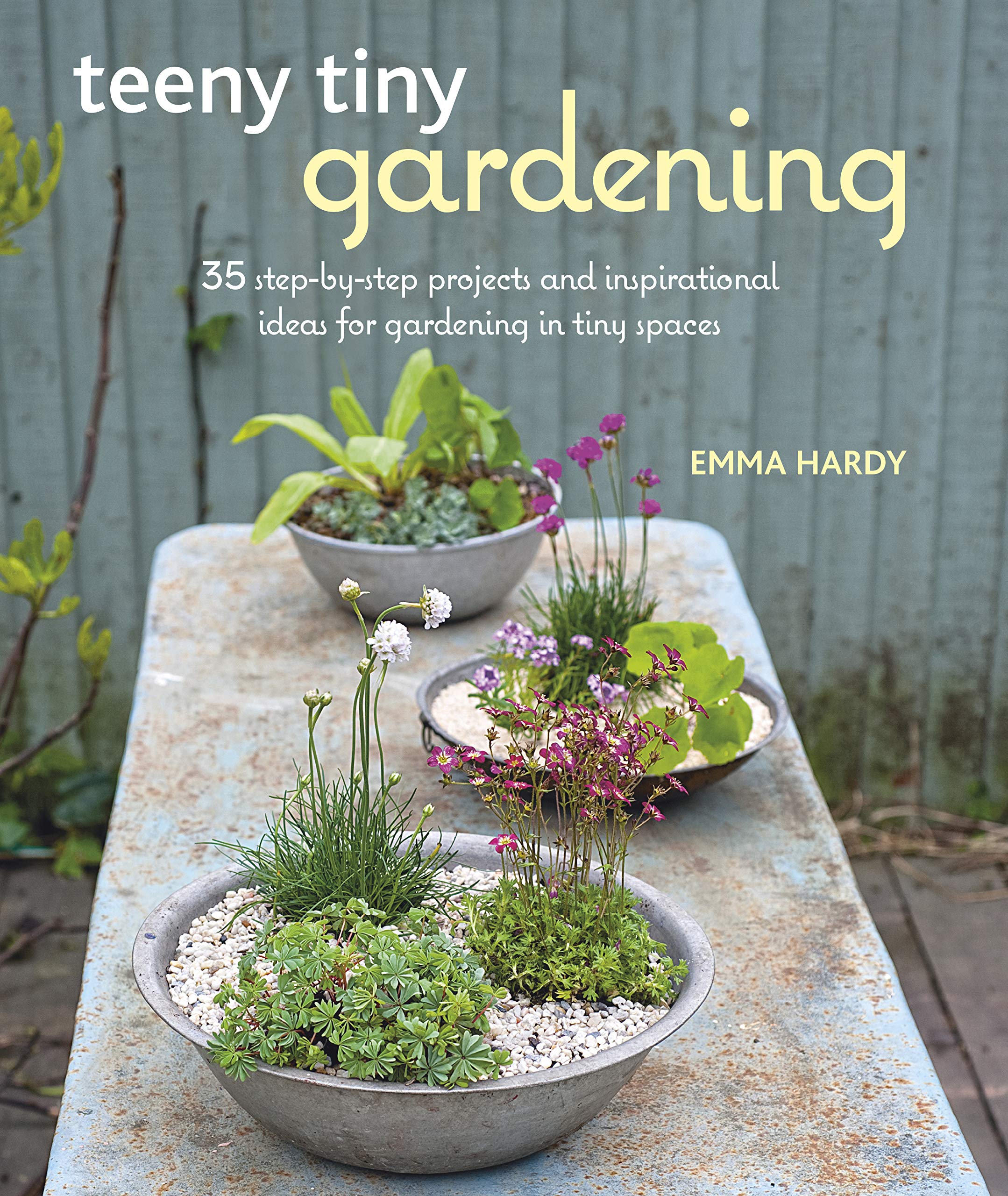 Algopix Similar Product 1 - Teeny Tiny Gardening 35 stepbystep