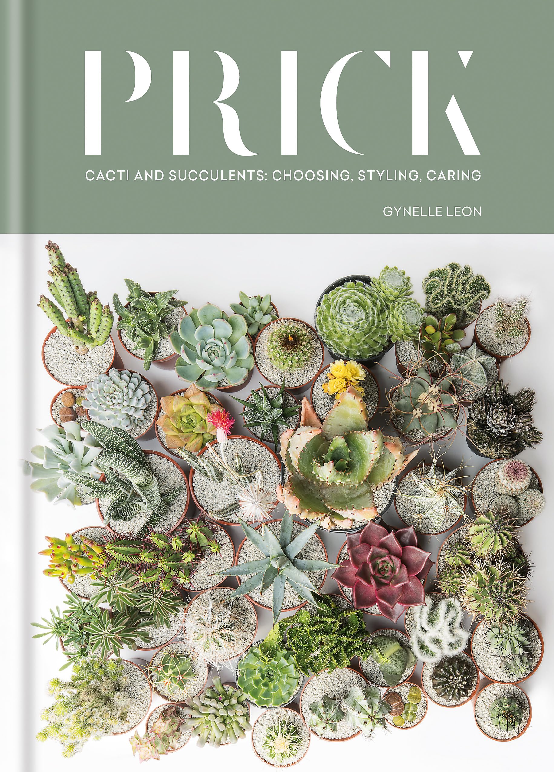 Algopix Similar Product 17 - Prick Cacti and Succulents Choosing