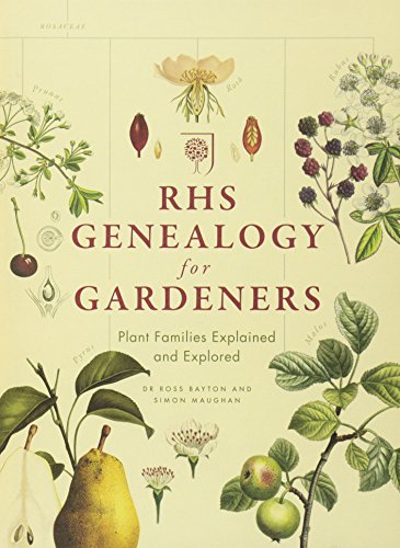 Algopix Similar Product 19 - RHS Genealogy for Gardeners Plant