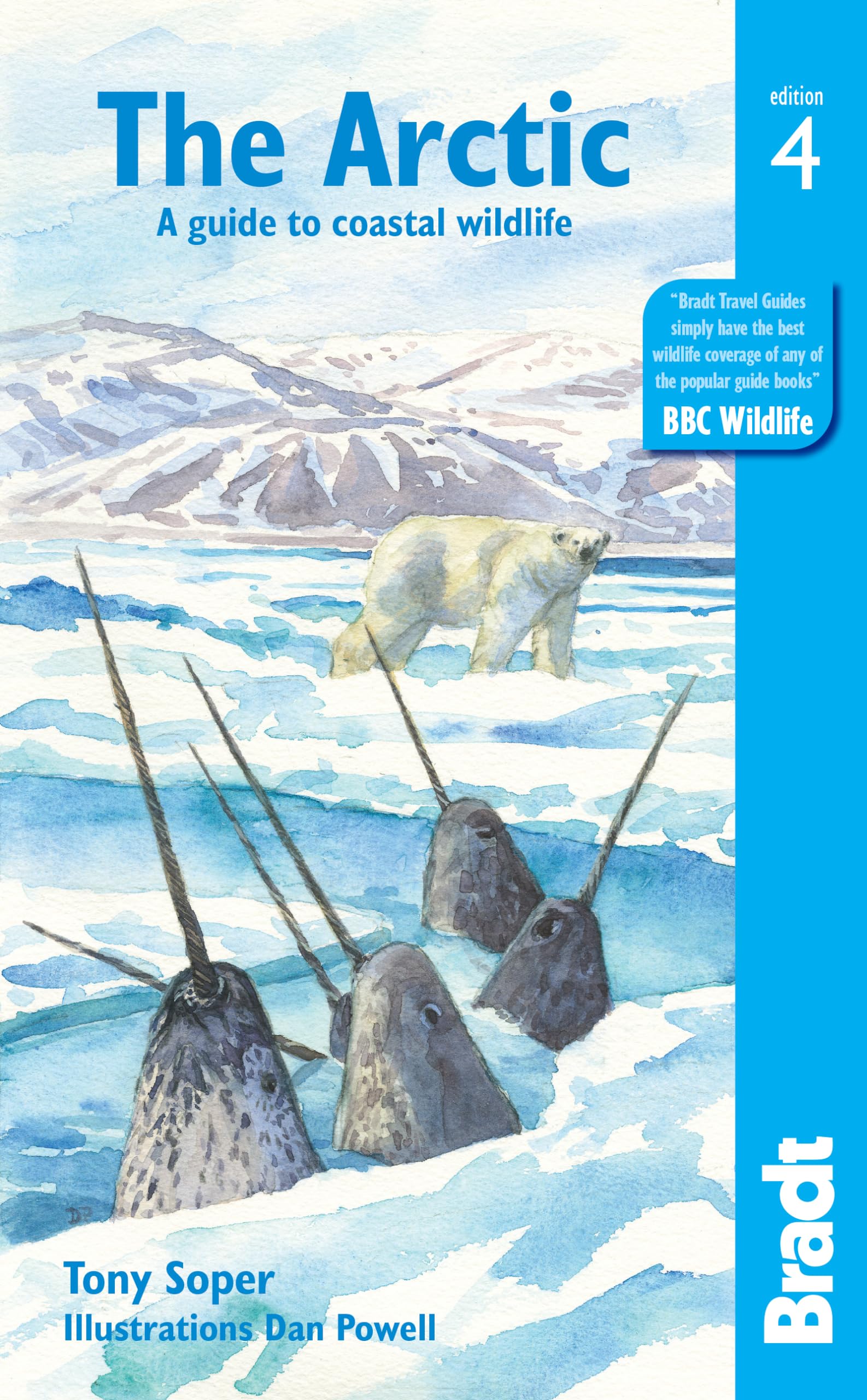 Algopix Similar Product 1 - The Arctic A guide to coastal wildlife