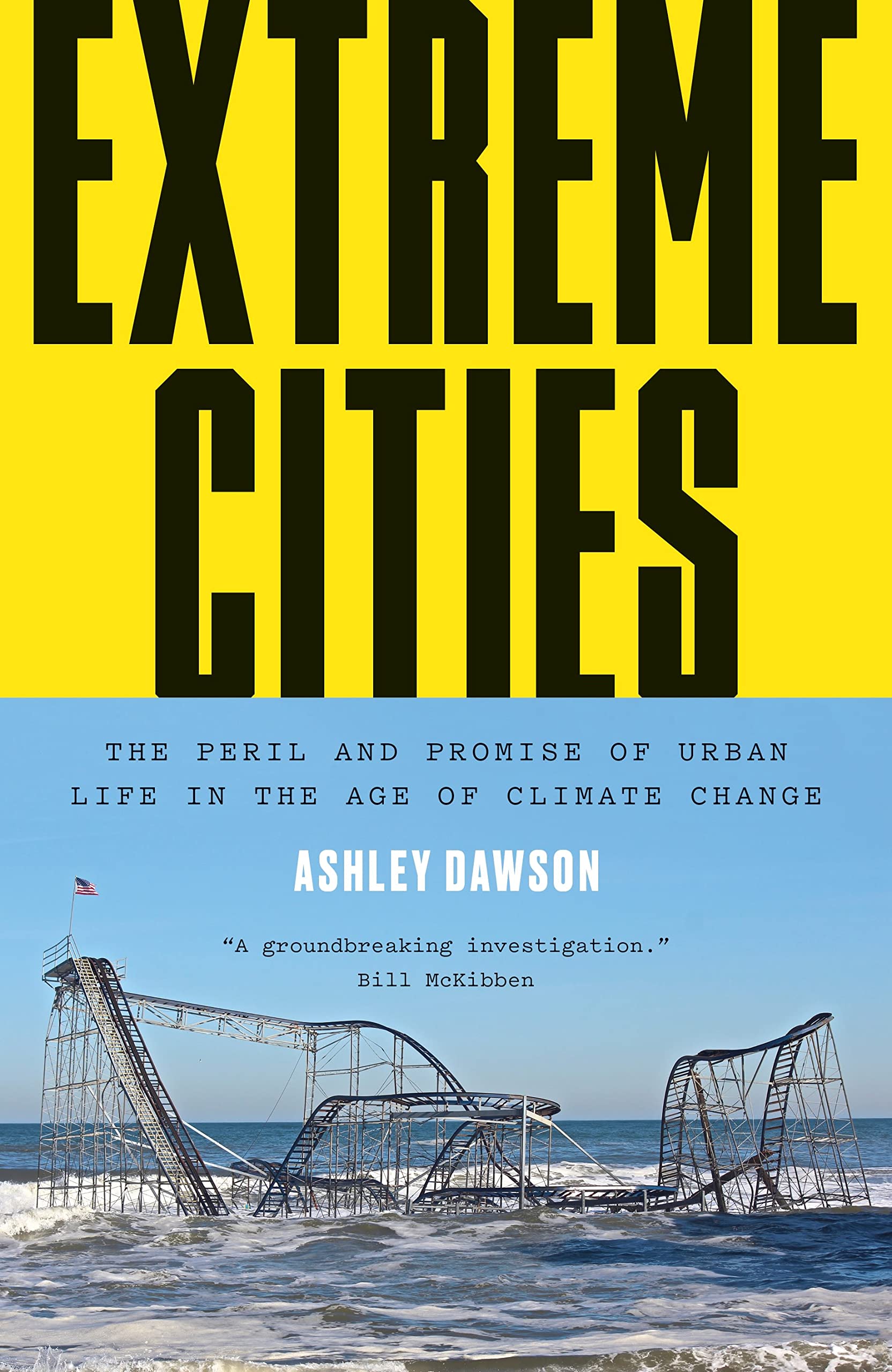 Algopix Similar Product 14 - Extreme Cities The Peril and Promise
