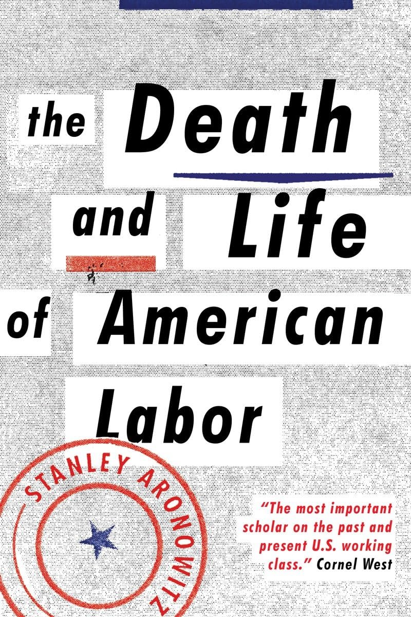 Algopix Similar Product 2 - The Death and Life of American Labor