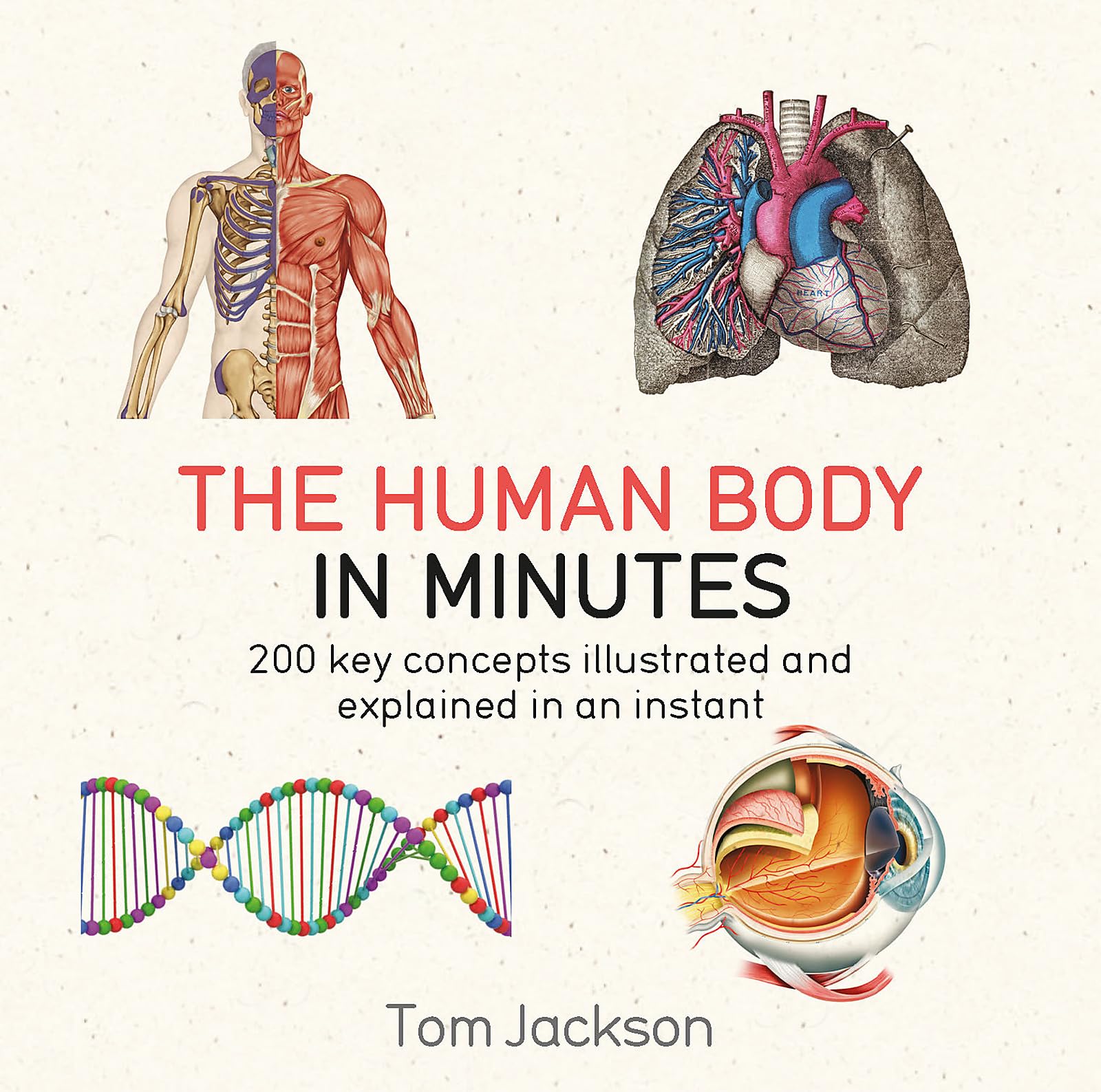 Algopix Similar Product 16 - The Human Body in Minutes Paperback
