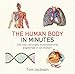 Algopix Similar Product 2 - The Human Body in Minutes Paperback