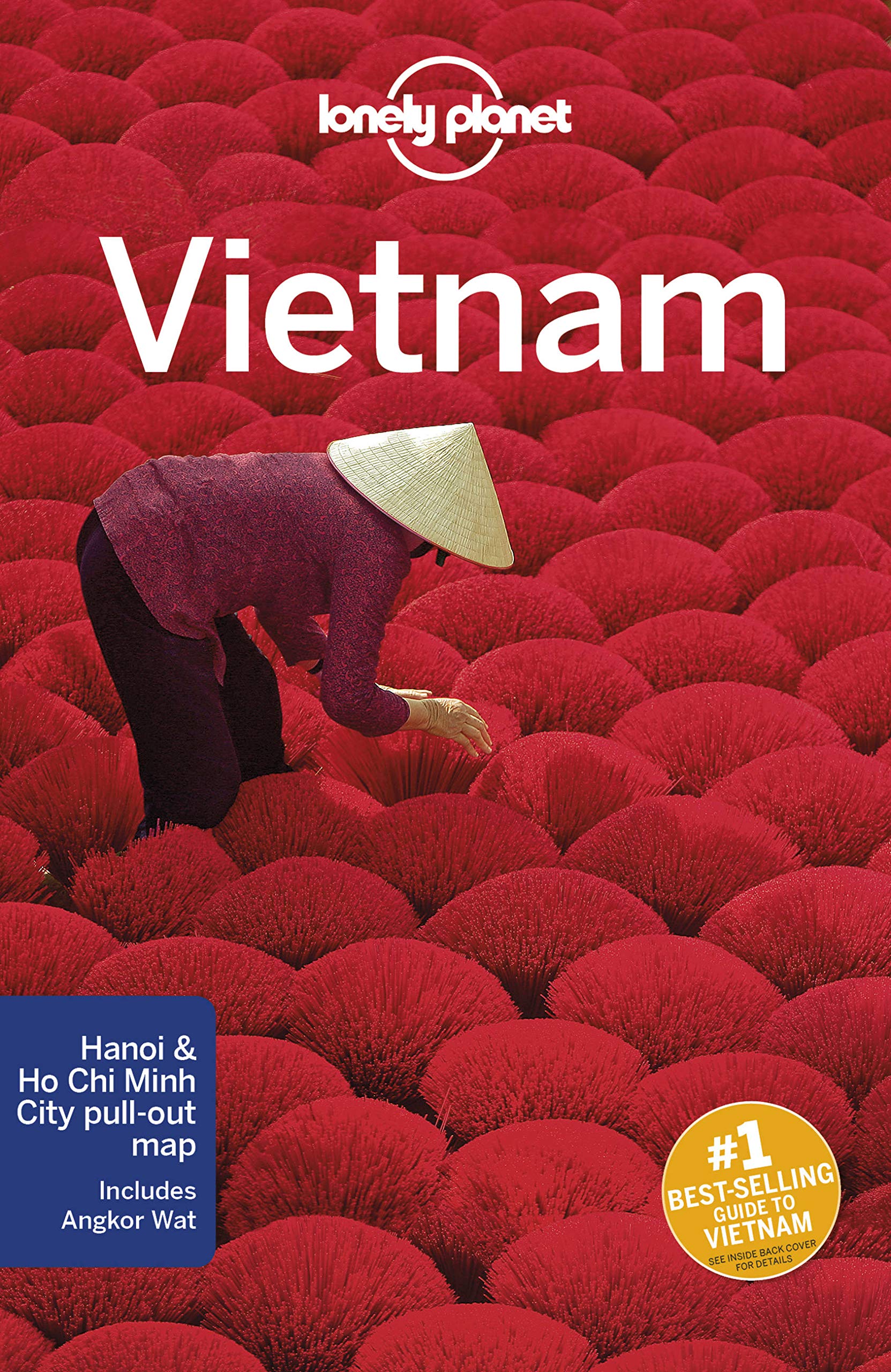 Algopix Similar Product 13 - Lonely Planet Vietnam (Travel Guide)