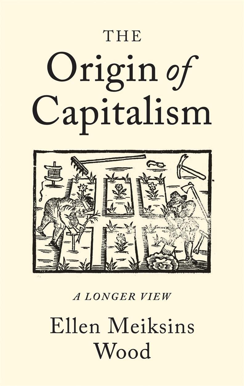 Algopix Similar Product 13 - The Origin of Capitalism: A Longer View