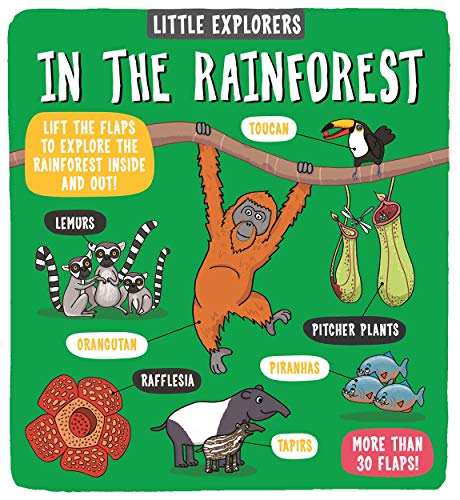 Algopix Similar Product 13 - Little Explorers: In the Rainforest