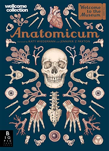 Algopix Similar Product 12 - Anatomicum