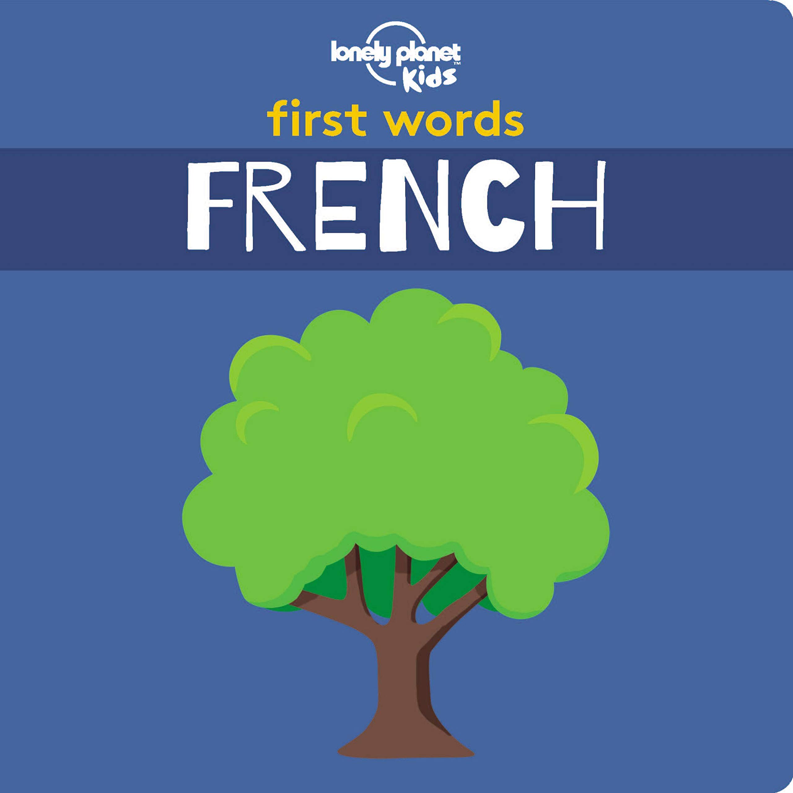 Algopix Similar Product 13 - Lonely Planet Kids First Words  French