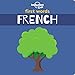 Algopix Similar Product 16 - Lonely Planet Kids First Words  French