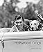 Algopix Similar Product 4 - Hollywood Dogs Photographs from the