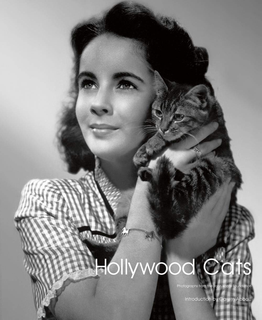 Algopix Similar Product 15 - Hollywood Cats Photographs From the