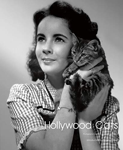 Algopix Similar Product 19 - Hollywood Cats Photographs From the