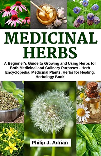 Algopix Similar Product 8 - Medicinal Herbs A beginners Guide to