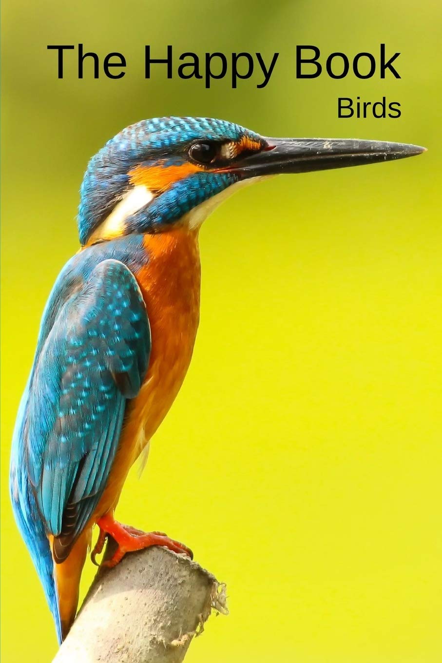 Algopix Similar Product 6 - The Happy Book Birds A picture book