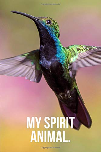 Algopix Similar Product 16 - My Spirit Animal: Hummingbird Journal