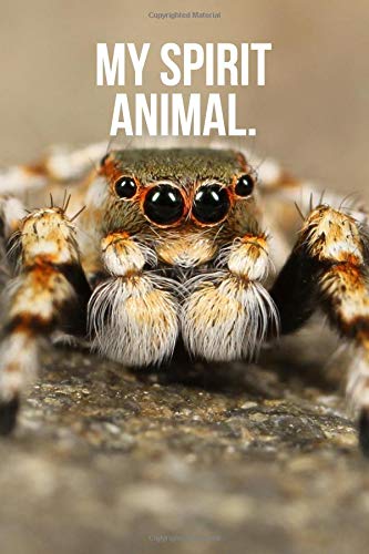Algopix Similar Product 2 - My Spirit Animal: Jumping Spider Journal